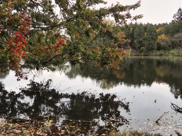 Herfst Landschap Met Meer Kalme Lakefront Uitzicht Herfst Omlijst Door — Stockfoto