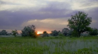 Güneş yeşil alanın üzerindeki ağaçların üzerinden yükseliyor..
