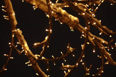 Akşam gökyüzü ve daldaki küçük ışıklar