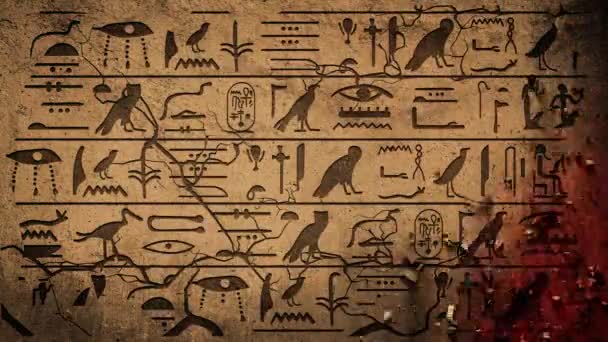 Pyramide Gizeh Cairo Tomb Hieroglyphen Auf Altägyptischem Steinbildhauerhintergrund — Stockvideo