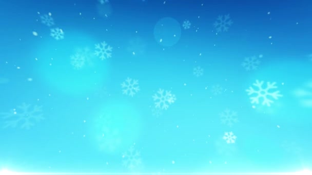 Winter background of falling snowflakes. Holiday snowflakes Background for Christmas and new year — Stock Video