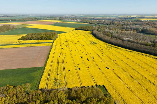 Vue Aérienne Des Champs Colza Jaune Dans Département Eure Loir Photo De Stock