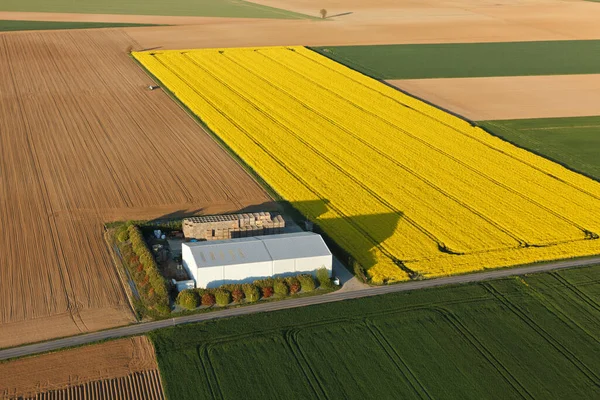 Aerial Photograph Farm Rapeseed Field Ablis Yvelines Ile France Region — Stock Photo, Image
