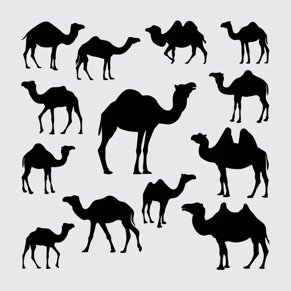 Camel Silhouette 一套骆驼的剪影 — 图库矢量图片