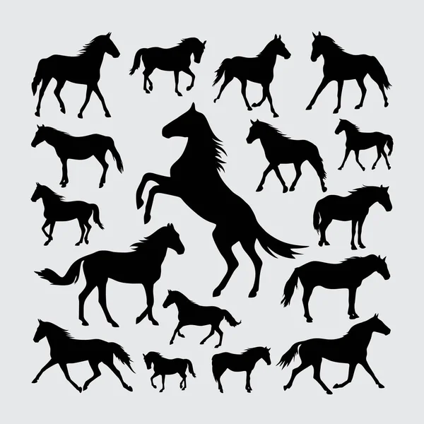 马的轮廓 一套马的轮廓 — 图库矢量图片