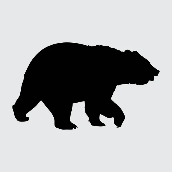 Niedźwiedź Sylwetka Niedźwiedź Izolowany Białym Tle — Wektor stockowy