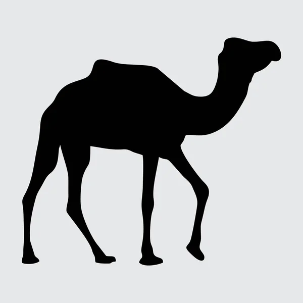 Camel Silhouet Camel Geïsoleerd Witte Achtergrond — Stockvector