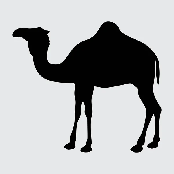 Sylwetka Wielbłąda Camel Izolowany Białym Tle — Wektor stockowy