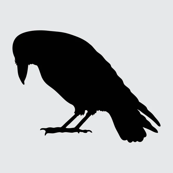 Crow Silhouette Crow Isolated White Background — Stock Vector