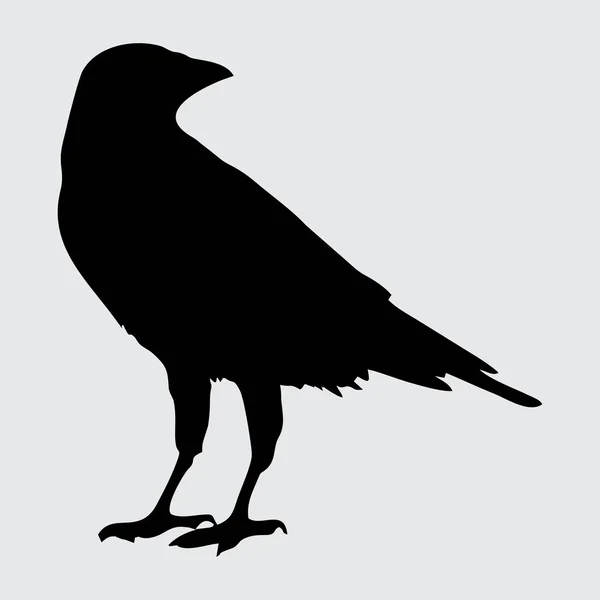 Crow Silhouet Kraai Geïsoleerd Witte Achtergrond — Stockvector