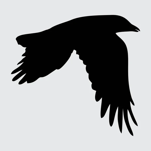 Σκιαγραφία Κορακιού Crow Απομονωμένο Λευκό Φόντο — Διανυσματικό Αρχείο