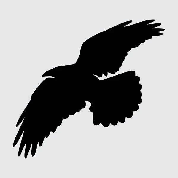 Krähen Silhouette Krähe Isoliert Auf Weißem Hintergrund — Stockvektor