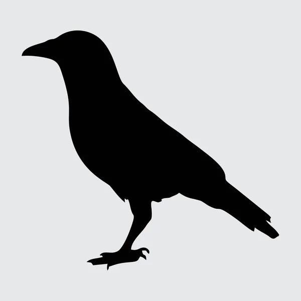 Crow Silhouet Kraai Geïsoleerd Witte Achtergrond — Stockvector