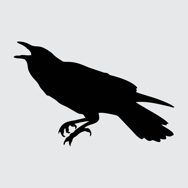 Crow Silhouet Kraai Geïsoleerd Witte Achtergrond — Stockvector