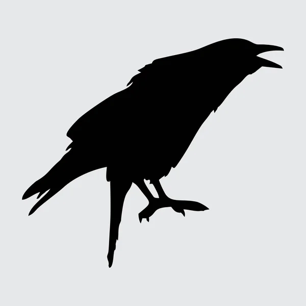 Crow Silhouet Kraai Geïsoleerd Witte Achtergrond — Stockvector