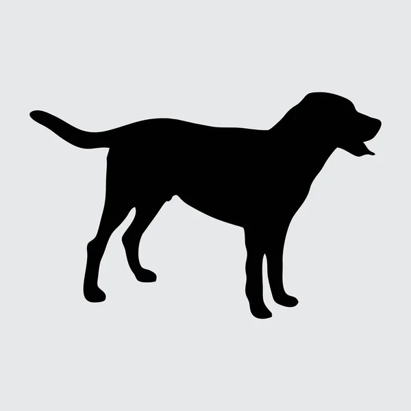 Hund Silhouette Hund Isoliert Auf Weißem Hintergrund — Stockvektor