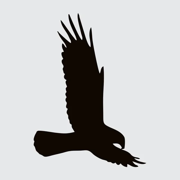 Silhouette Aigle Aigle Isolé Sur Fond Blanc — Image vectorielle