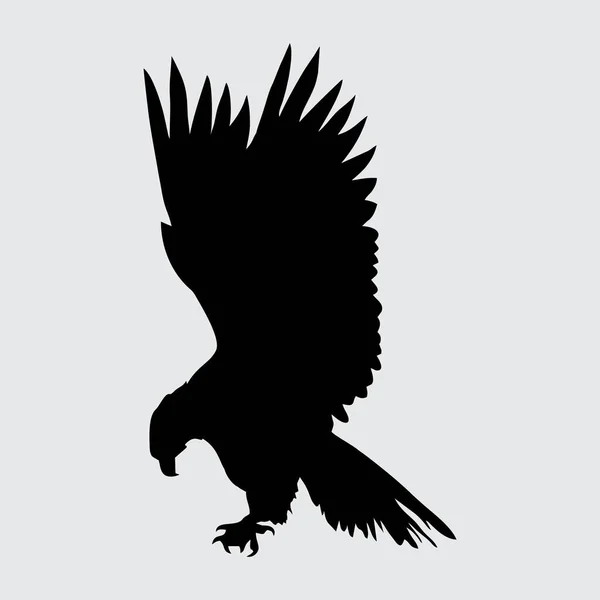 Aquila Silhouette Aquila Isolata Sfondo Bianco — Vettoriale Stock