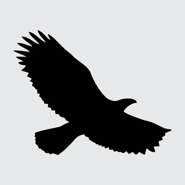 Silueta Águila Águila Aislada Sobre Fondo Blanco — Archivo Imágenes Vectoriales