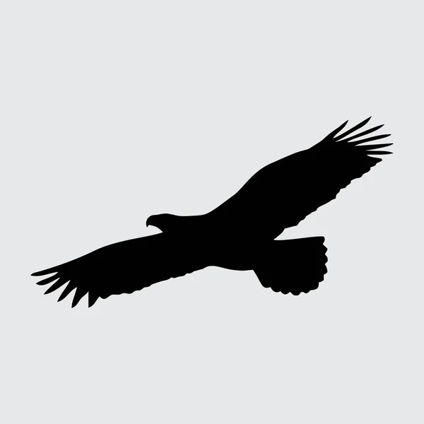 鹰形轮廓 白色背景上孤立的鹰 — 图库矢量图片