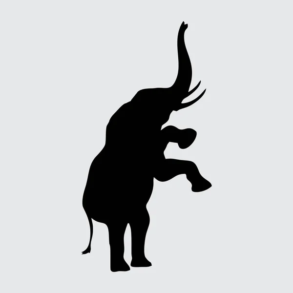 Silueta Elefante Elefante Aislado Sobre Fondo Blanco — Archivo Imágenes Vectoriales