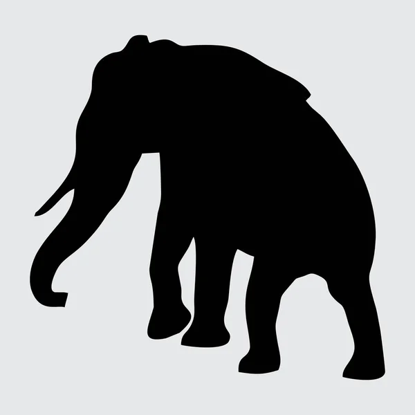 Silhueta Elefante Elefante Isolado Fundo Branco — Vetor de Stock