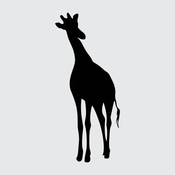 Giraffe Silhouette Giraffe Isoliert Auf Weißem Hintergrund — Stockvektor