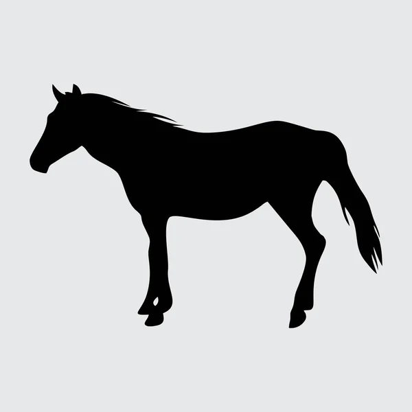 Silueta Caballo Caballo Aislado Sobre Fondo Blanco — Vector de stock