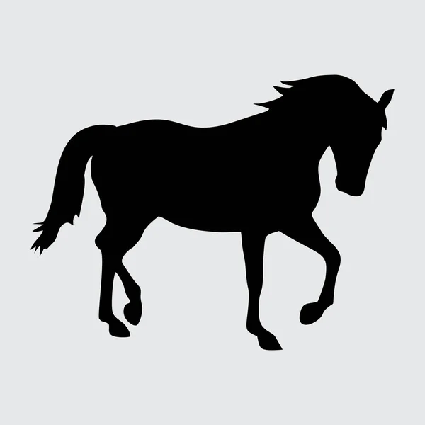 Kůň Silueta Kůň Izolované Bílém Pozadí — Stockový vektor
