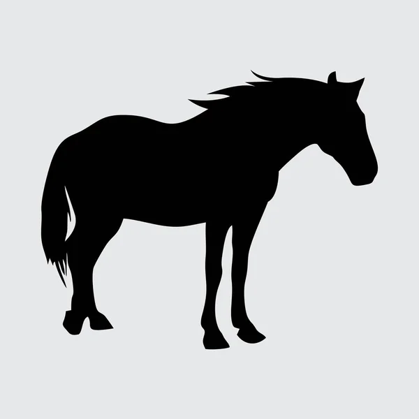 Horse Silhouette Hest Isoleret Hvid Baggrund – Stock-vektor