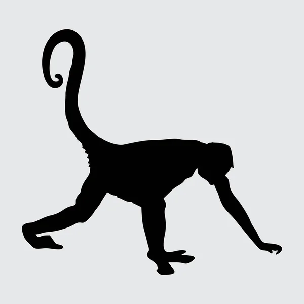 Monkey Silhouette Monkey Islated White Background — ストックベクタ