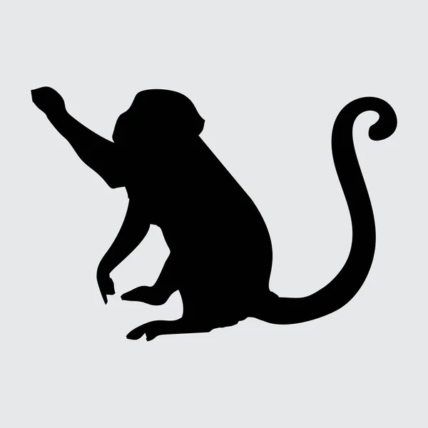 Monkey Silhouette Monkey Isolated White Background — Stock Vector