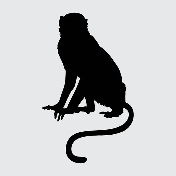 Monkey Silhouette Monkey Isolated White Background — Stock Vector