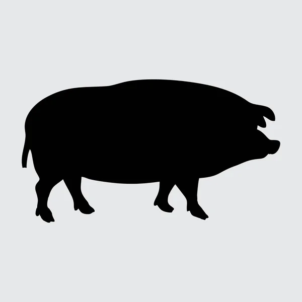 Silueta Cerdo Cerdo Aislado Sobre Fondo Blanco — Vector de stock
