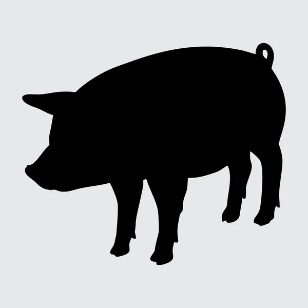 Silueta Cerdo Cerdo Aislado Sobre Fondo Blanco — Vector de stock