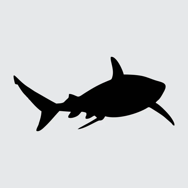 Shark Silhouette Акула Ізольована Білому Тлі — стоковий вектор