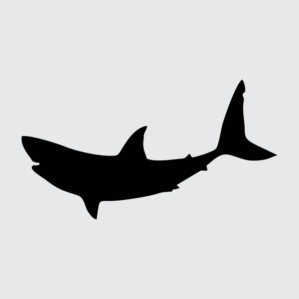 Shark Silhouette Акула Ізольована Білому Тлі — стоковий вектор
