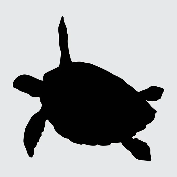 Turtle Silhouette Turtle Isolated White Background — Stock Vector