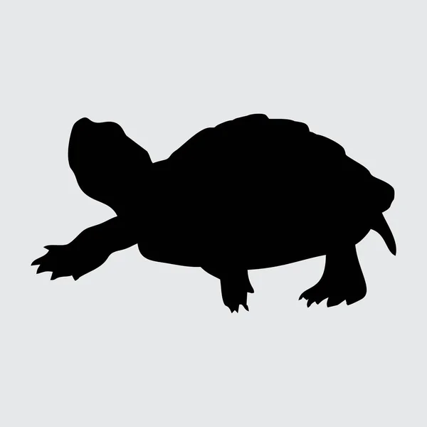 Kilpikonna Siluetti Kilpikonna Eristetty Valkoisella Taustalla — vektorikuva