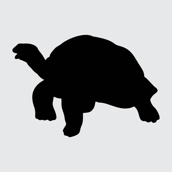 Силуэт Черепахи Черепаха Белом Фоне — стоковый вектор