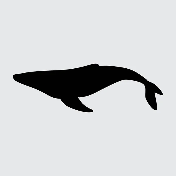 Китовий Силует Кит Ізольований Білому Тлі — стоковий вектор