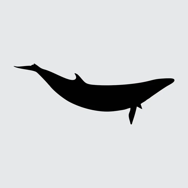 Silhouette Baleine Baleine Isolée Sur Fond Blanc — Image vectorielle