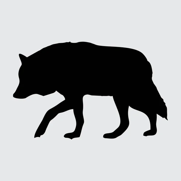 Silueta Lobo Lobo Aislado Sobre Fondo Blanco — Archivo Imágenes Vectoriales