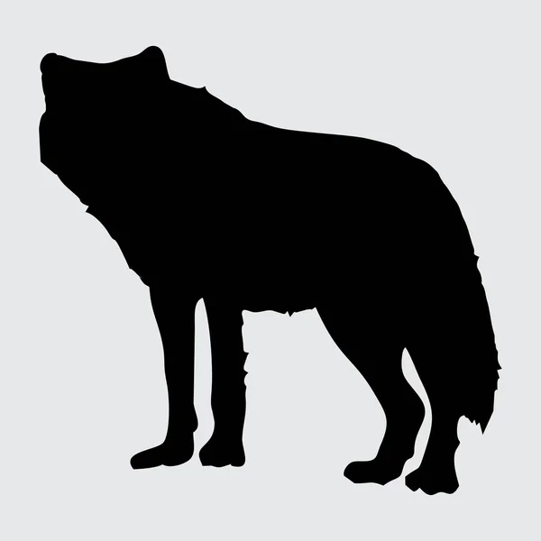 Silueta Lobo Lobo Aislado Sobre Fondo Blanco — Vector de stock