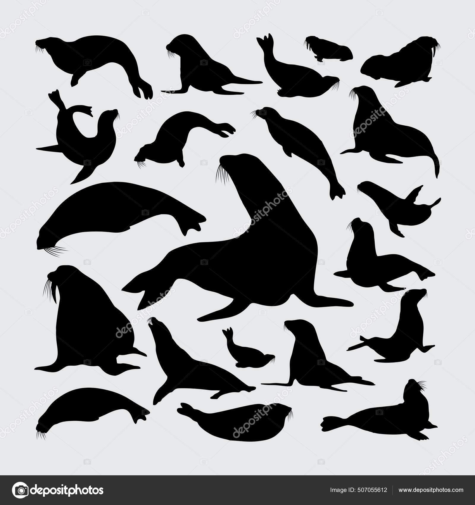 Sea Lion Silhouette Set Sea Lion Silhouettes Stock Vector by ©nurakenza