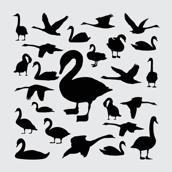 Silhouette Cygne Ensemble Silhouettes Cygne — Image vectorielle