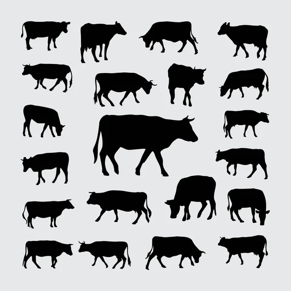 Cow Silhouette Set Cow Silhouettes — Stock Vector