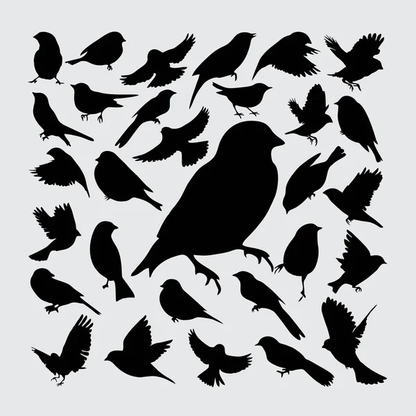 Vogelsilhouette Eine Reihe Von Vogel Silhouetten — Stockvektor