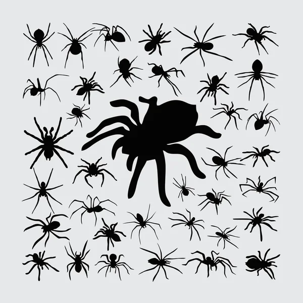 Spinnensilhouette Eine Reihe Von Spinnensilhouetten Stockvektor