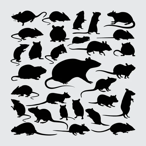 Råttan Silhouette Ett Set Råttsiluetter Royaltyfria Stockvektorer